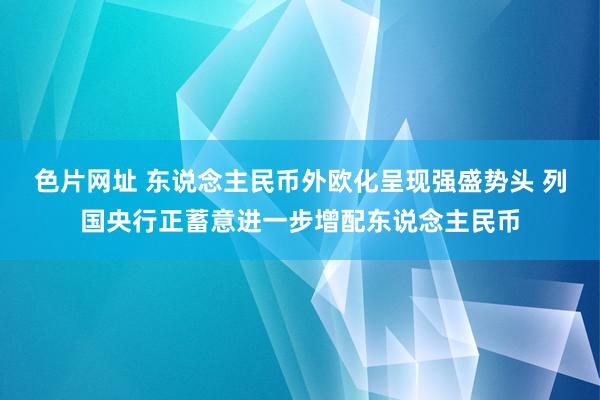 色片网址 东说念主民币外欧化呈现强盛势头 列国央行正蓄意进一步增配东说念主民币