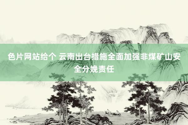 色片网站给个 云南出台措施全面加强非煤矿山安全分娩责任