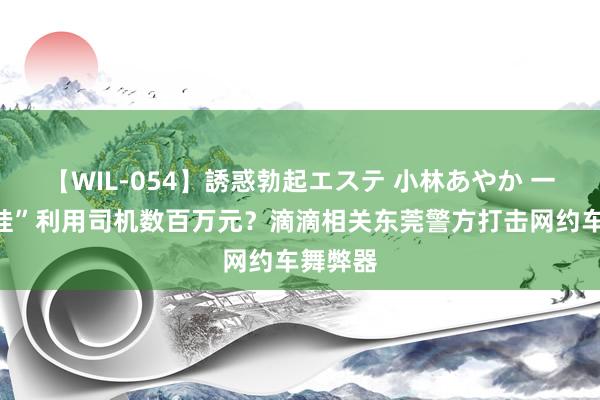 【WIL-054】誘惑勃起エステ 小林あやか 一款“外挂”利用司机数百万元？滴滴相关东莞警方打击网约车舞弊器