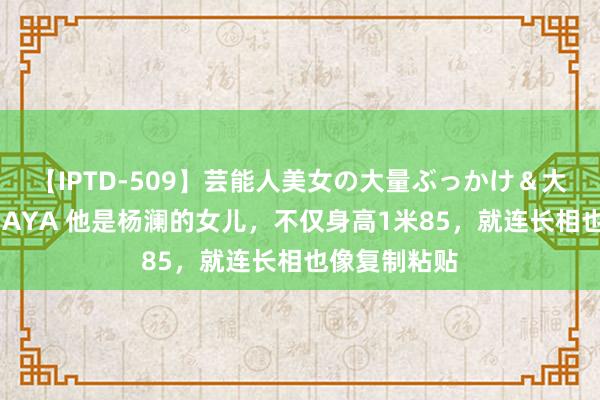 【IPTD-509】芸能人美女の大量ぶっかけ＆大量ごっくん AYA 他是杨澜的女儿，不仅身高1米85，就连长相也像复制粘贴