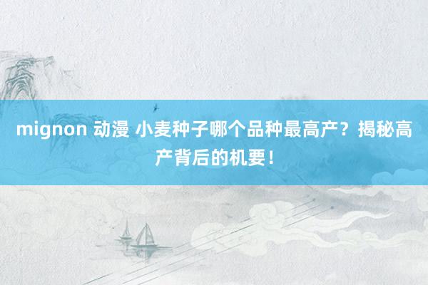 mignon 动漫 小麦种子哪个品种最高产？揭秘高产背后的机要！
