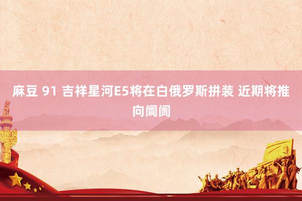 麻豆 91 吉祥星河E5将在白俄罗斯拼装 近期将推向阛阓