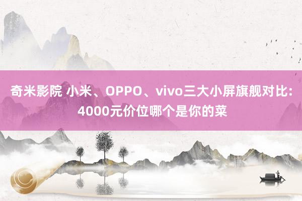 奇米影院 小米、OPPO、vivo三大小屏旗舰对比: 4000元价位哪个是你的菜