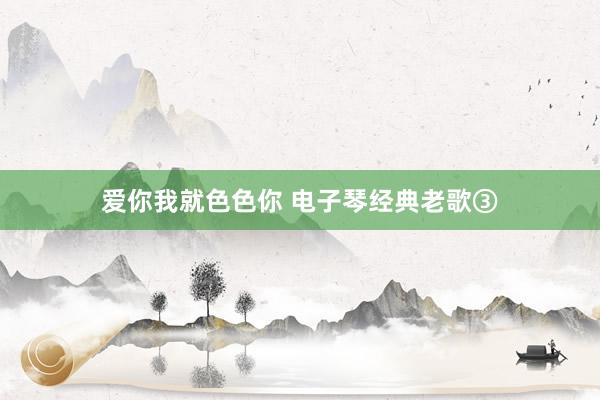 爱你我就色色你 电子琴经典老歌③