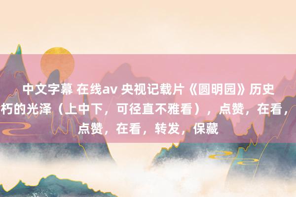 中文字幕 在线av 央视记载片《圆明园》历史的伤疤与不朽的光泽（上中下，可径直不雅看），点赞，在看，转发，保藏
